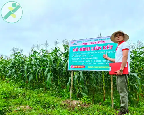 Chàng trai xóm núi làm giàu với mô hình gà đồi sinh học 3 ga-doi-hoc-sinh