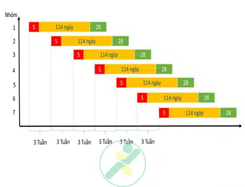 quản-lý-heo-nái-đẻ