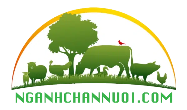 Trang tin chuyên ngành Chăn nuôi – Thú Y Việt Nam