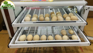 lam-gi-khi-may-ap-trung-mat-dien