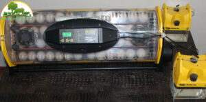 may-ap-trung-co-ton-dien-khong