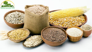 thuc-an-cho-ga-nhieu-dinh-duong