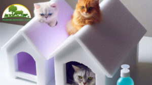 Cách làm nhà cho chó bằng thùng xốp