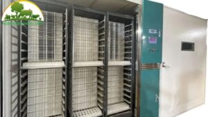 Máy ấp Trứng Công Nghiệp