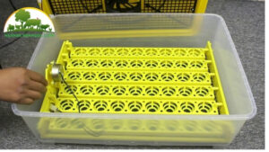 cách chỉnh độ ẩm của máy ấp trứng