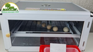 Cách sử dụng máy ấp trứng Ánh Dương A100