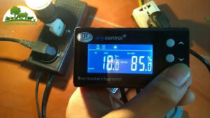 độ ẩm thích hợp cho máy ấp trứng gà