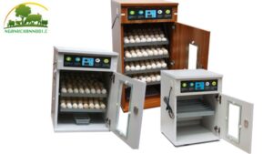 Máy Ấp Trứng Kappa: Chất lượng cao, độ bền vượt trội