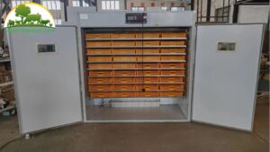 Máy ấp Trứng Thông Minh