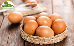 con gà có trước hay quả trứng có trước