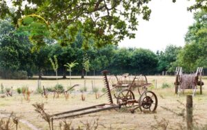 đặc điểm của chăn nuôi nông hộ