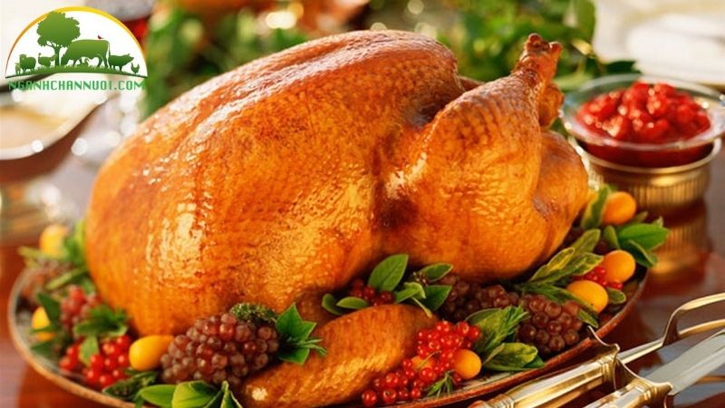 Thịt gà tây có ngon không? TOP 5 món ngon từ thịt gà tây 6 thịt gà tây