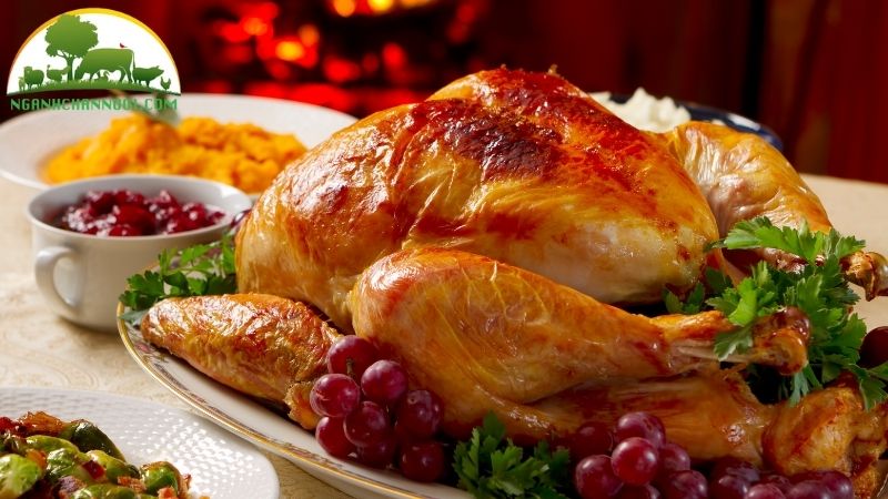 Thịt gà tây có ngon không? TOP 5 món ngon từ thịt gà tây 5 thịt gà tây