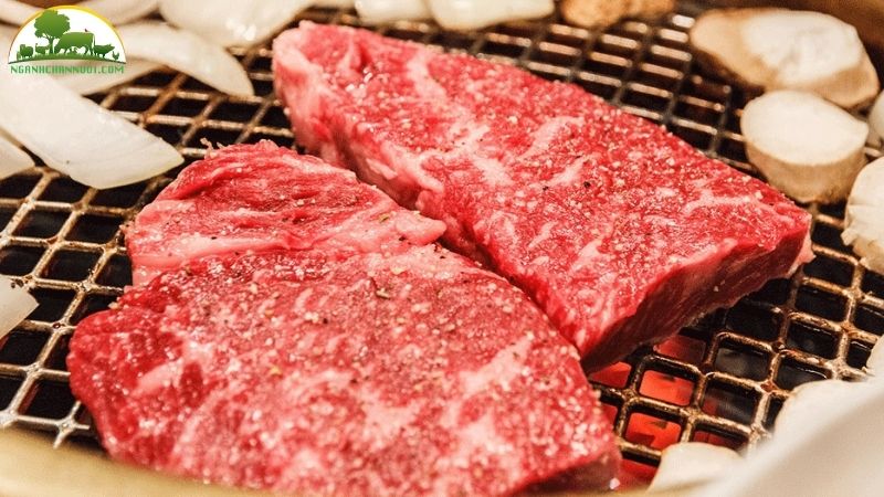 Bò kobe: nguồn gốc xuất xứ, đặc điểm và giá bán 5 bò kobe