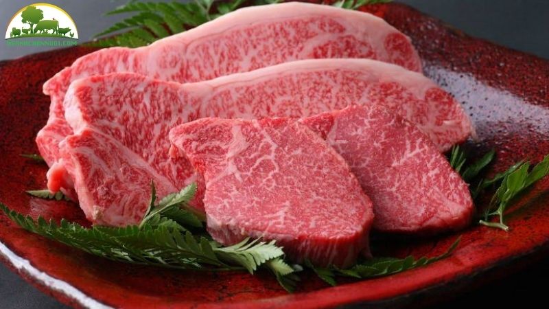 Bò kobe: nguồn gốc xuất xứ, đặc điểm và giá bán 6 bò kobe