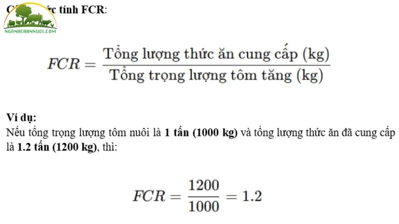 Cách tính FCR lượng thức ăn cho heo đúng chuẩn 5 cách tính fcr