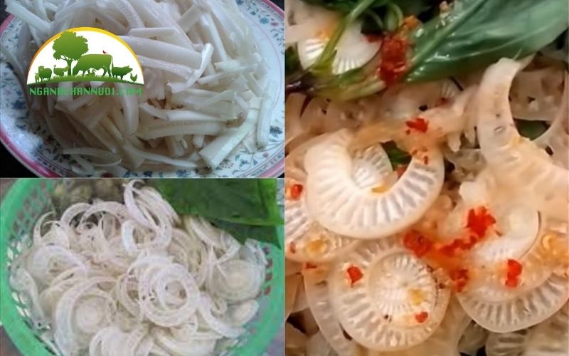 Hướng dẫn chi tiết cách ủ cây chuối cho lợn ăn 6 cách ủ cây chuối cho lợn