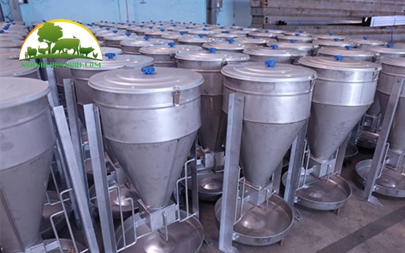 3+ mẫu máng ăn tự động cho heo bền và tốt nhất hiện nay 5 máng ăn tự động cho heo