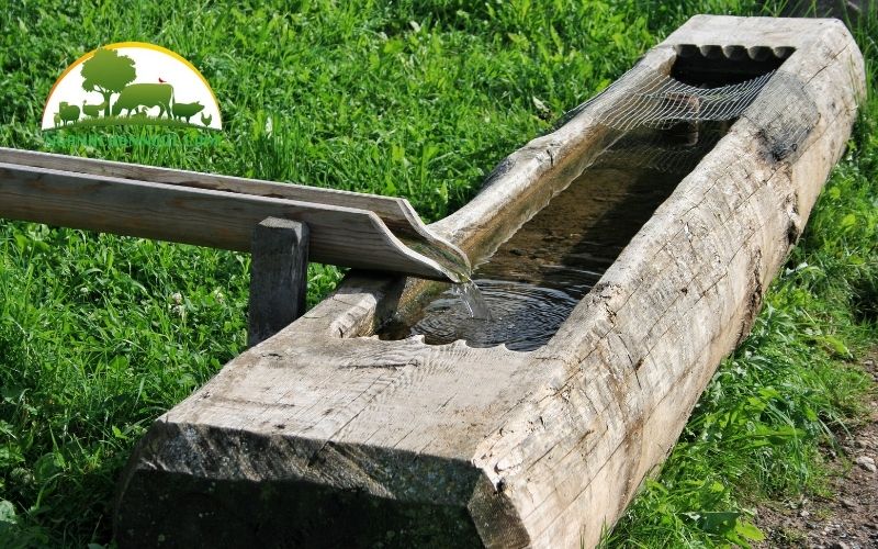 Hướng dẫn cách làm máng uống nước cho gà tự chế 4 máng uống nước cho gà tự chế