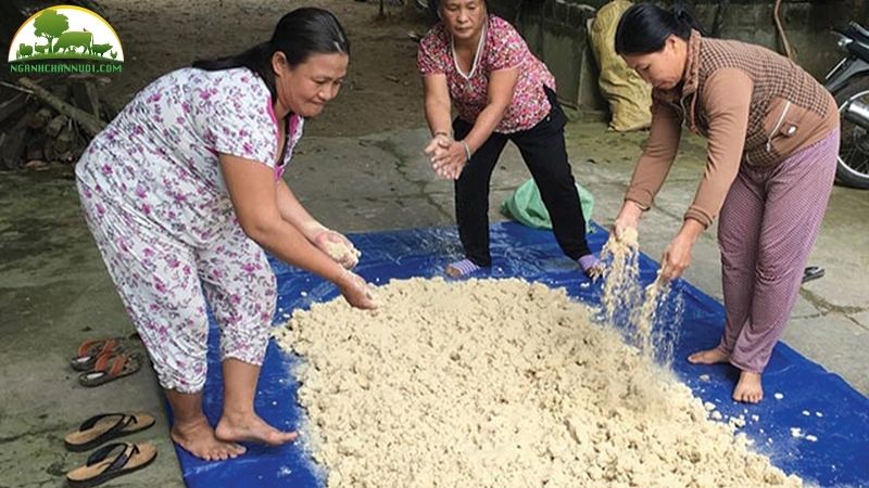 Hướng dẫn cách ủ bã đậu nành cho lợn ăn 5 ủ bã đậu nành cho lợn