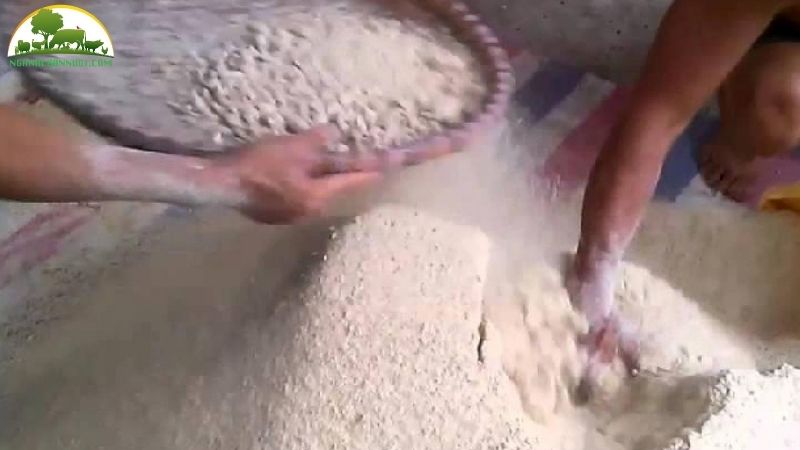Hướng dẫn cách ủ bã đậu nành cho lợn ăn 6 ủ bã đậu nành cho lợn