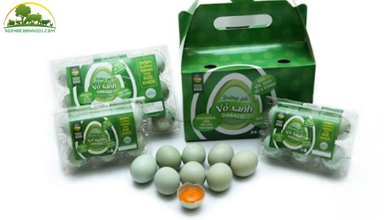 Trứng gà xanh dabaco giá bao nhiêu? 5 trứng gà xanh dabaco
