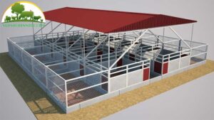 chuong nuoi ga thit phai dam bao cac dieu kien nao