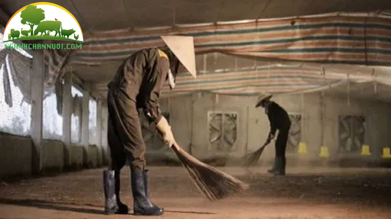 Cách nuôi vịt thịt trong chuồng thông thoáng 17 Cách nuôi vịt thịt trong chuồng thông thoáng