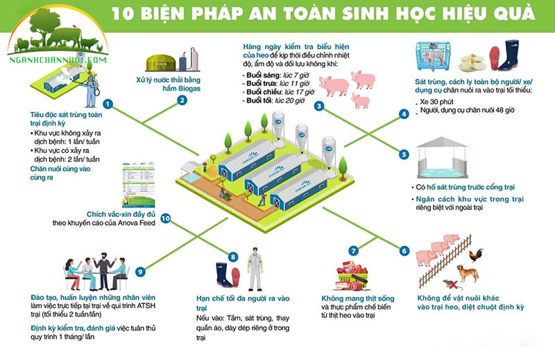 Một số bệnh phổ biến ở gia cầm và biện pháp phòng trị